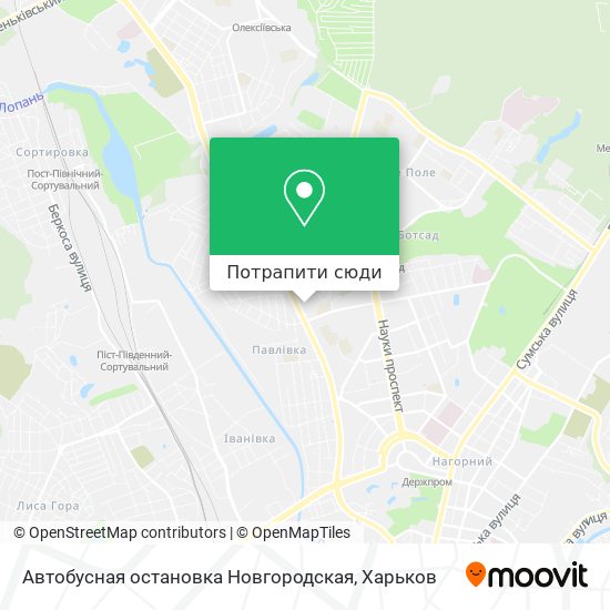Карта Автобусная остановка Новгородская