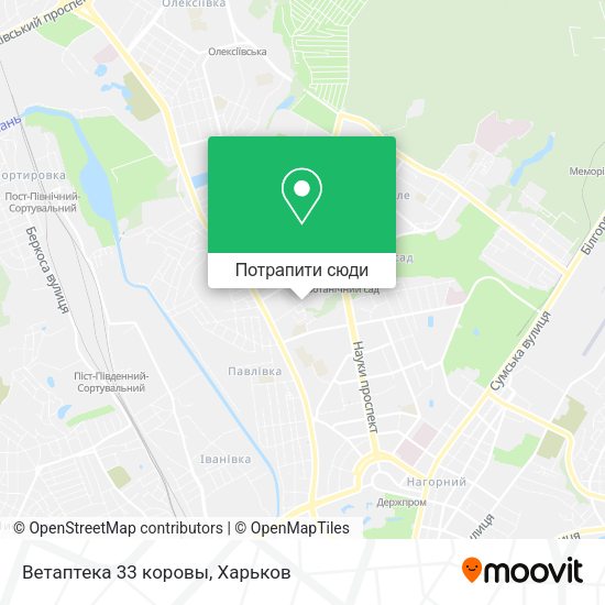 Карта Ветаптека 33 коровы