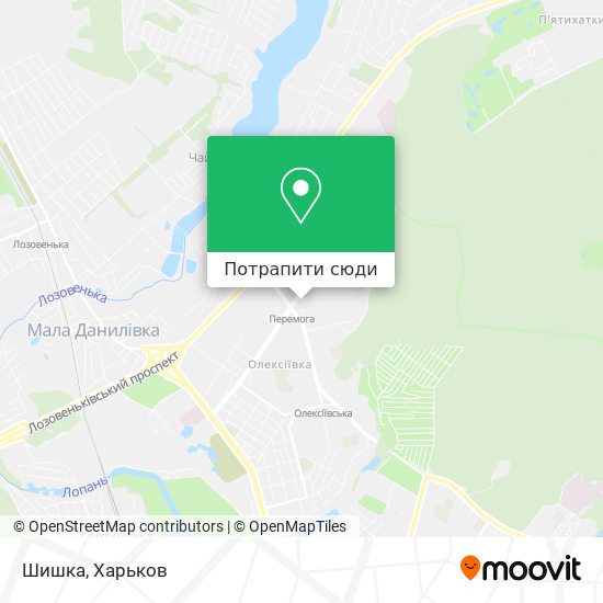 Карта Шишка
