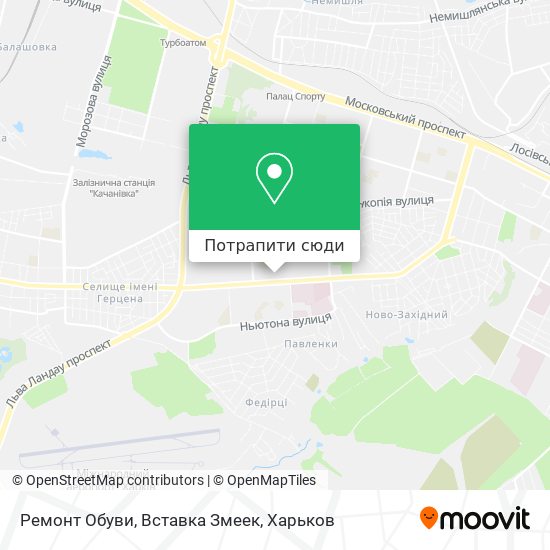 Карта Ремонт Обуви, Вставка Змеек