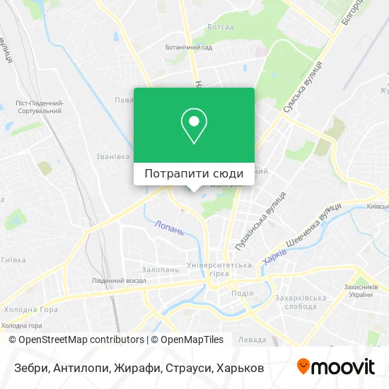 Карта Зебри, Антилопи, Жирафи, Страуси