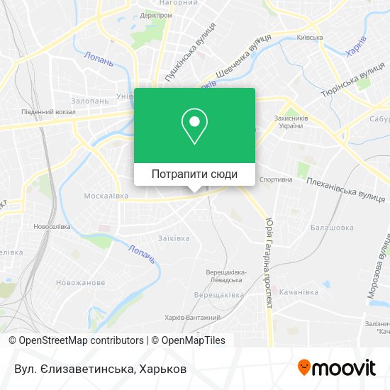 Карта Вул. Єлизаветинська