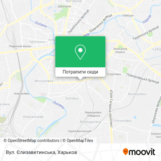 Карта Вул. Єлизаветинська