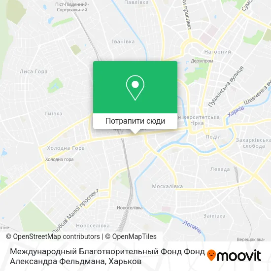Карта Международный Благотворительный Фонд Фонд Александра Фельдмана