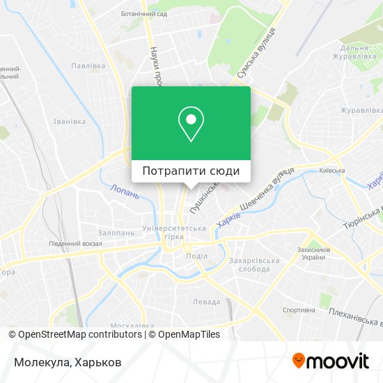 Карта Молекула