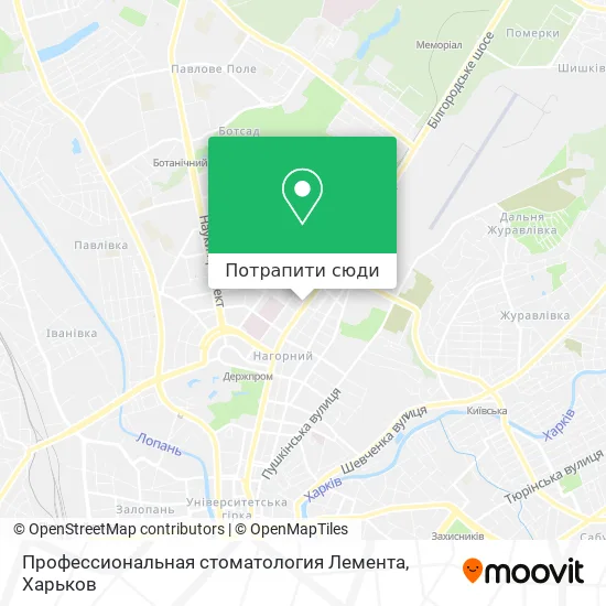 Карта Профессиональная стоматология Лемента