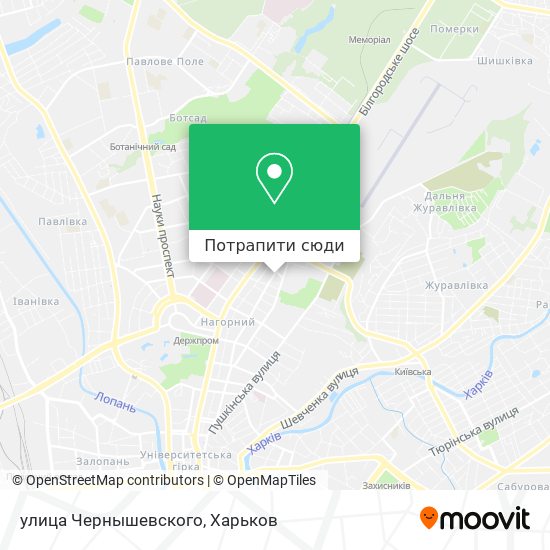 Карта улица Чернышевского