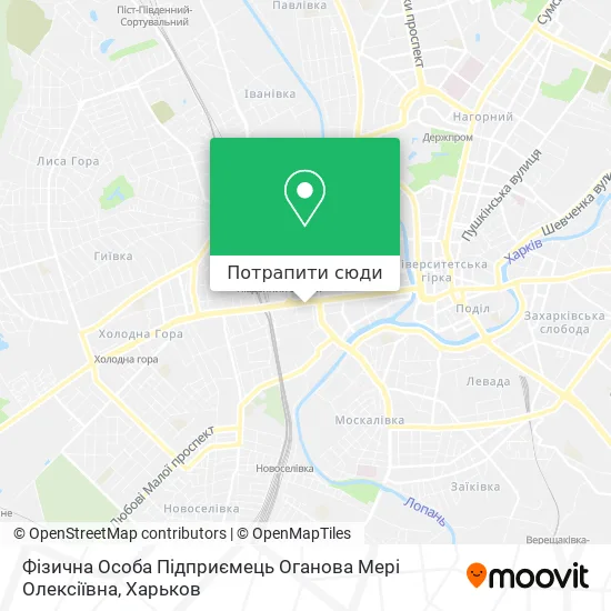 Карта Фізична Особа Підприємець Оганова Мері Олексіївна