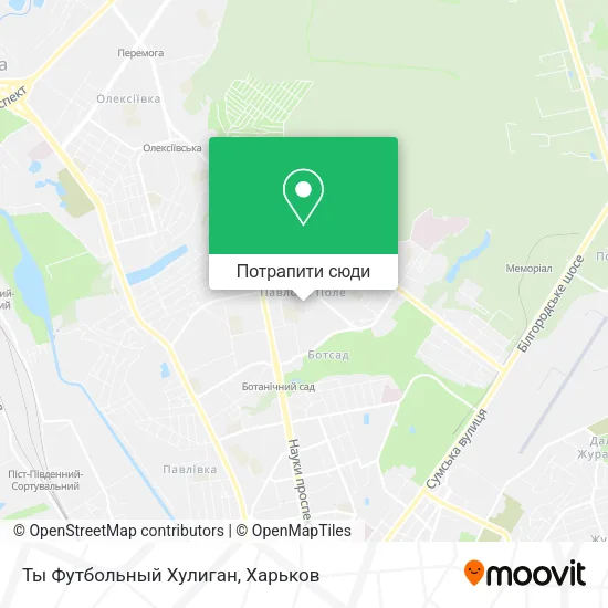 Карта Ты Футбольный Хулиган