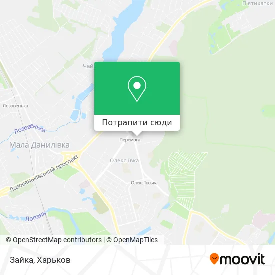 Карта Зайка
