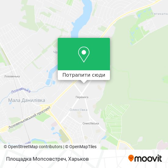Карта Площадка Мопсовстреч