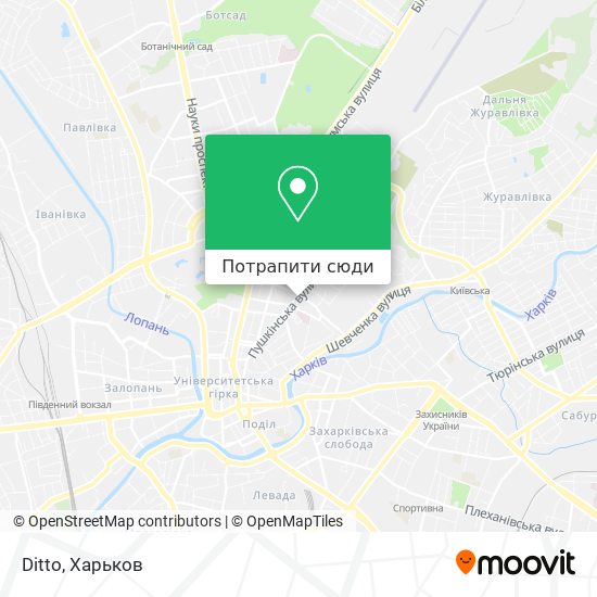 Карта Ditto