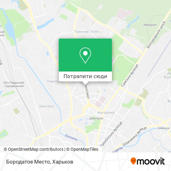 Карта Бородатое Место