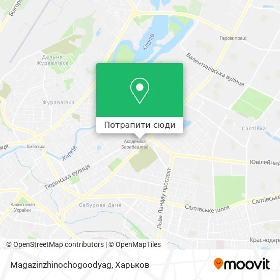 Карта Magazinzhinochogoodyag