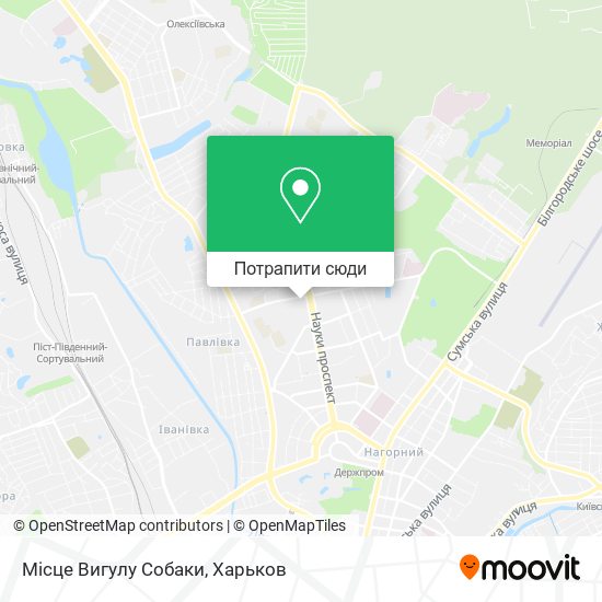Карта Місце Вигулу Собаки