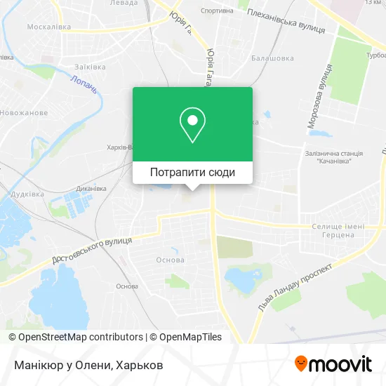 Карта Манікюр у Олени