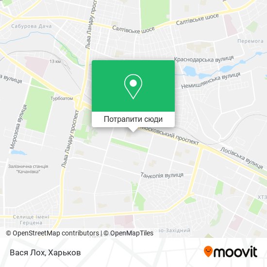 Карта Вася Лох