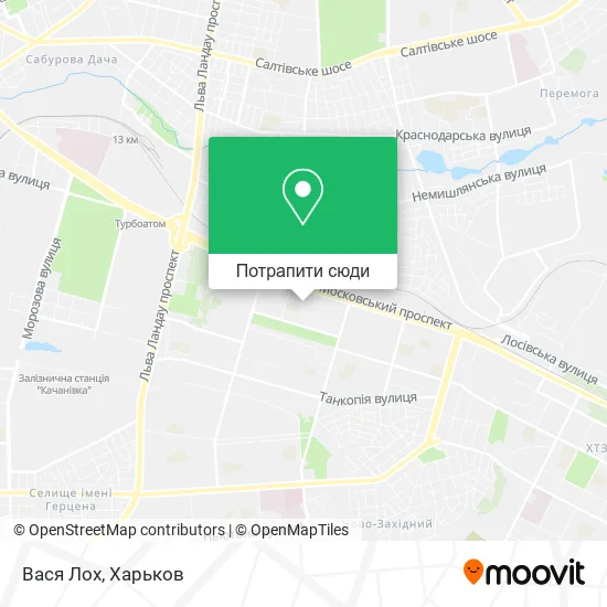 Карта Вася Лох