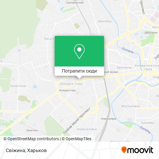 Карта Свіжина