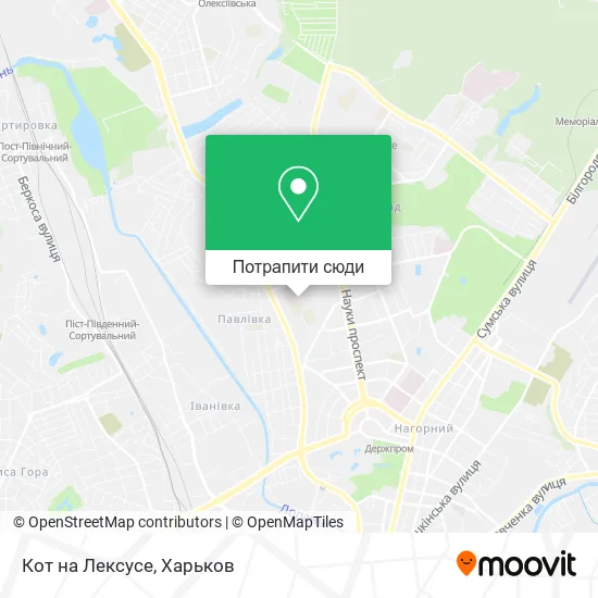 Карта Кот на Лексусе