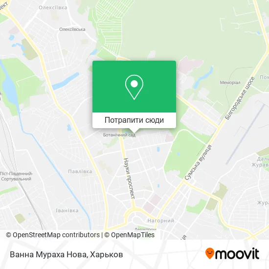 Карта Ванна Мураха Нова