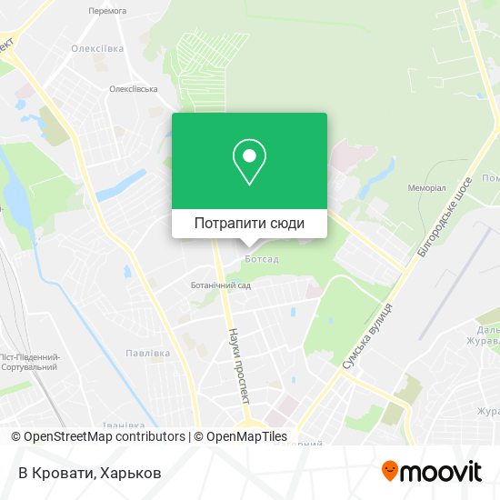 Карта В Кровати