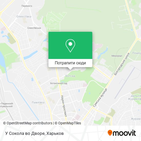 Карта У Сокола во Дворе