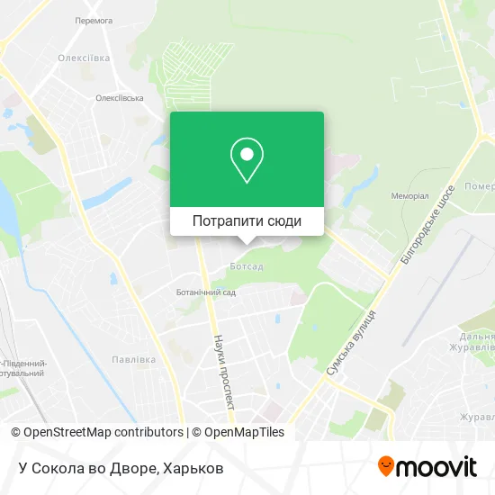 Карта У Сокола во Дворе
