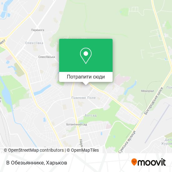 Карта В Обезьяннике