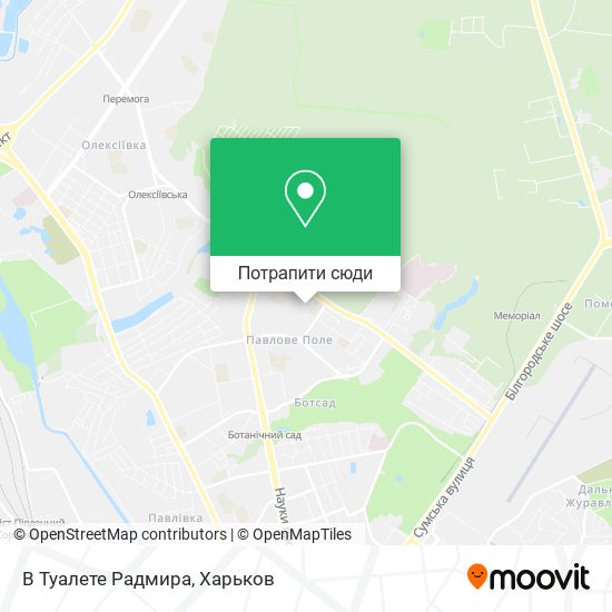 Карта В Туалете Радмира