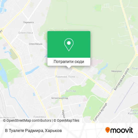 Карта В Туалете Радмира