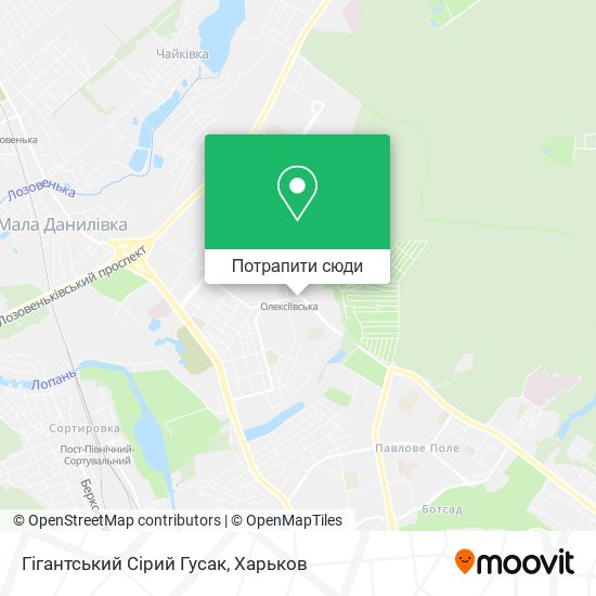 Карта Гігантський Сірий Гусак