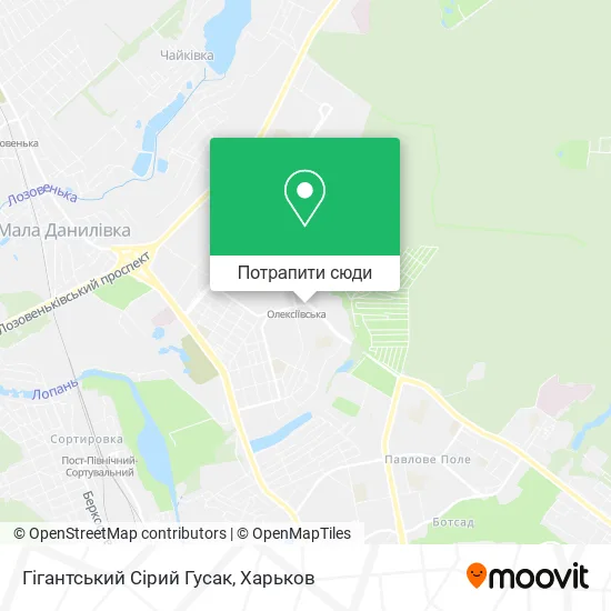 Карта Гігантський Сірий Гусак