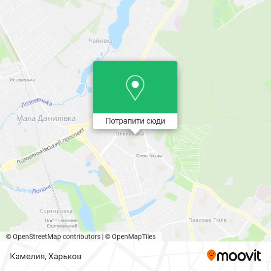 Карта Камелия