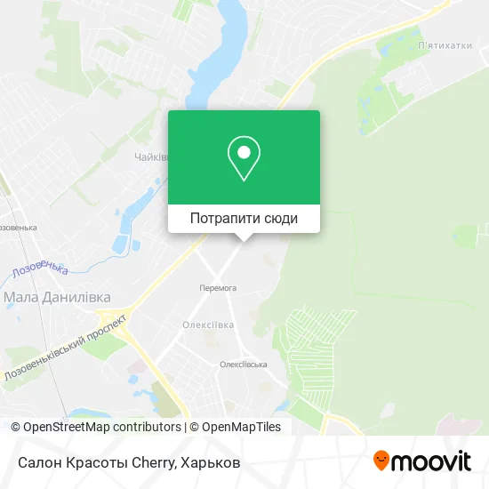 Карта Салон Красоты Cherry