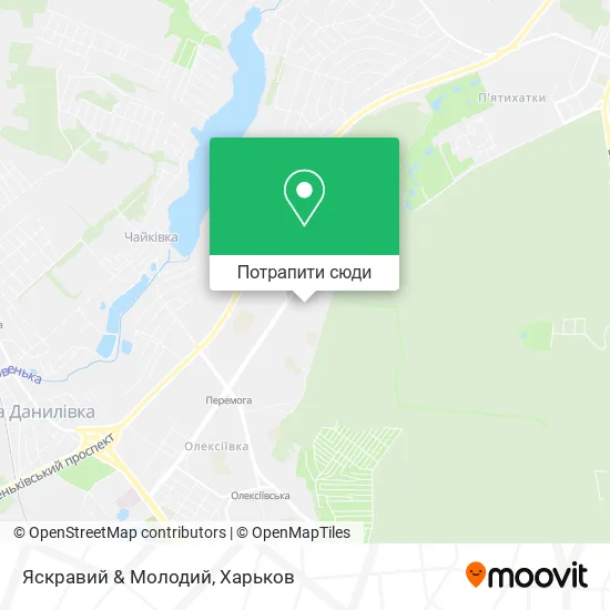Карта Яскравий & Молодий