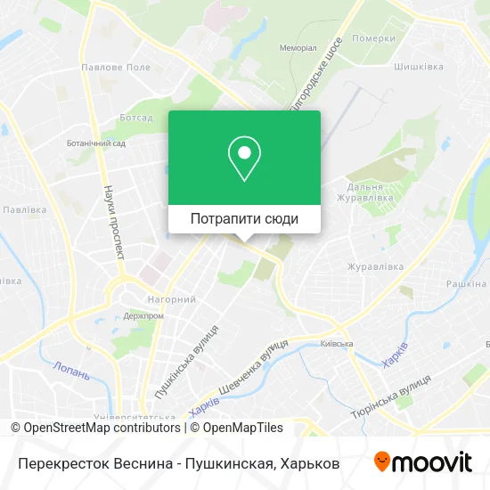 Карта Перекресток Веснина - Пушкинская