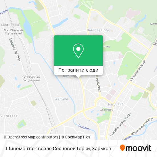 Карта Шиномонтаж возле Сосновой Горки