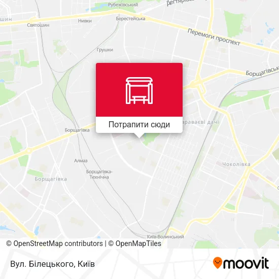 Карта Вул. Білецького