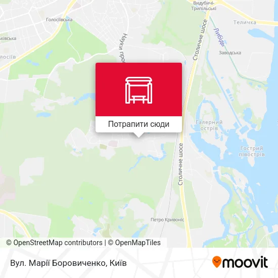 Карта Вул. Марії Боровиченко