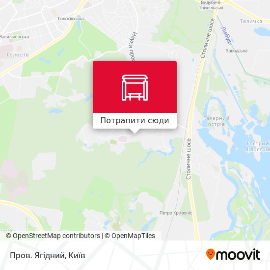 Карта Пров. Ягідний