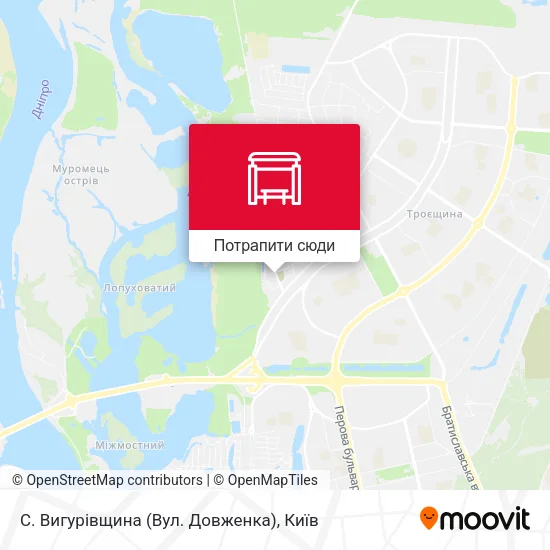 Карта С. Вигурівщина (Вул. Довженка)