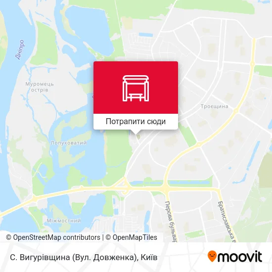 Карта С. Вигурівщина (Вул. Довженка)