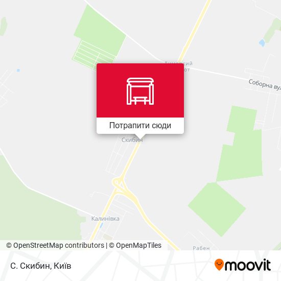Карта С. Скибин