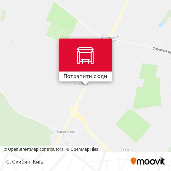 Карта С. Скибин