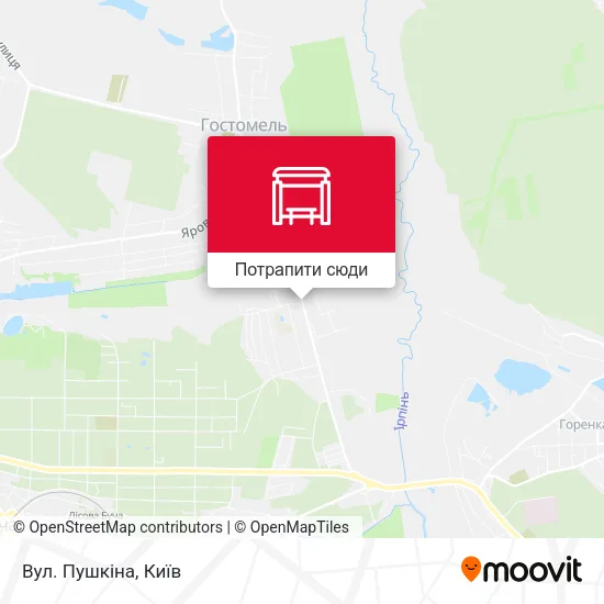 Карта Вул. Пушкіна