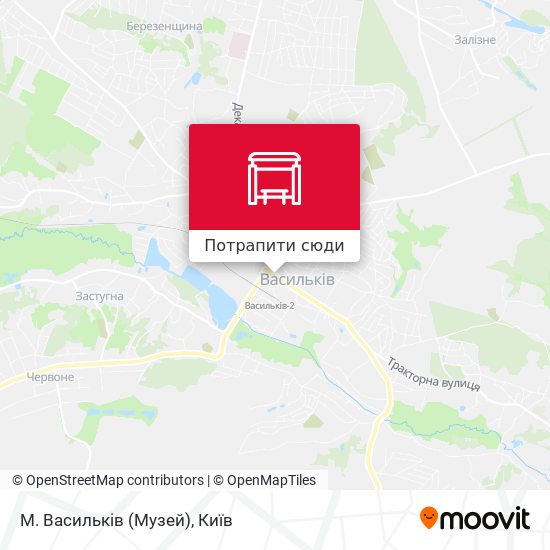 Карта М. Васильків (Музей)