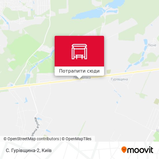 Карта С. Гурівщина-2