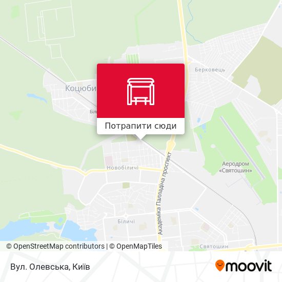 Карта Вул. Олевська