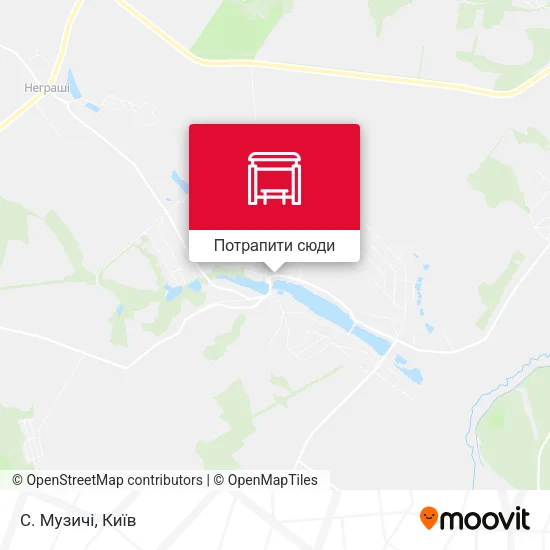 Карта С. Музичі